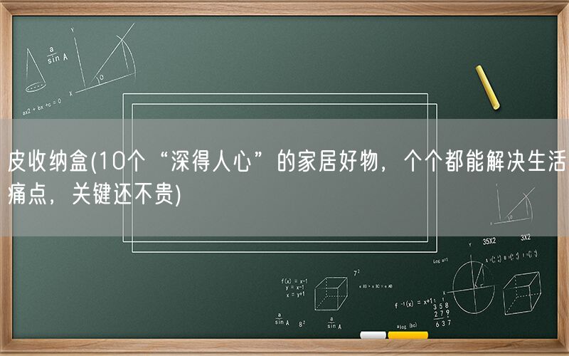 皮收纳盒(10个“深得人心”的家居好物，个个都能解决生活痛点，关键还不贵)