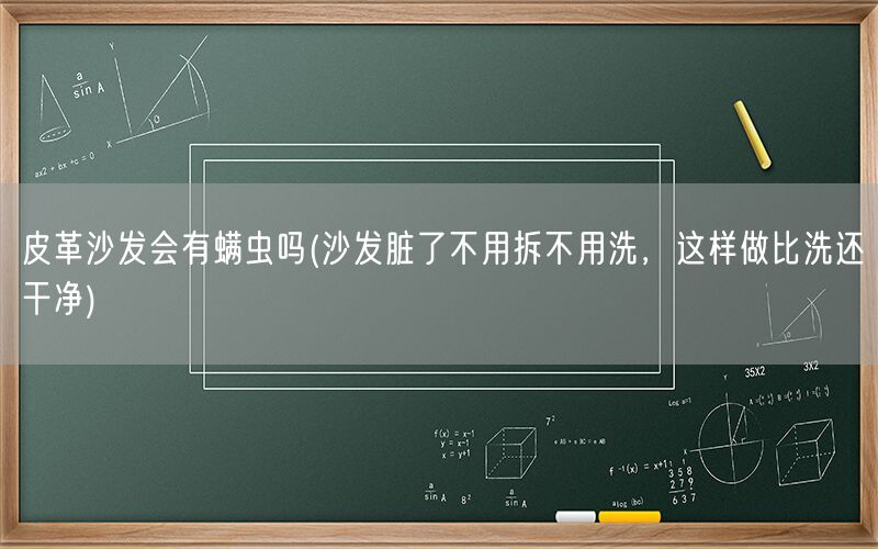 皮革沙发会有螨虫吗(沙发脏了不用拆不用洗，这样做比洗还干净)